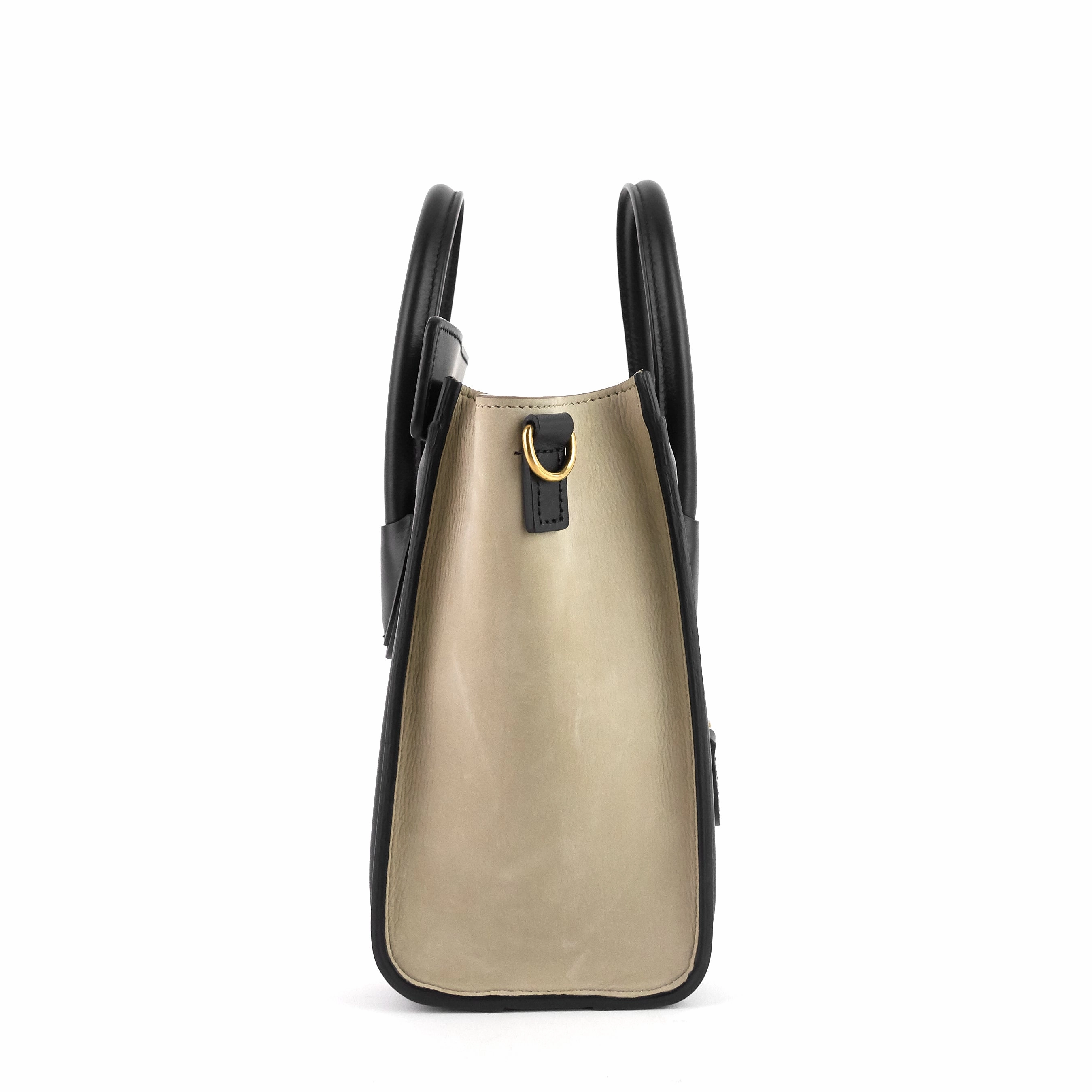 Luggage Nano Tricolor Calfskin and Suede Bag