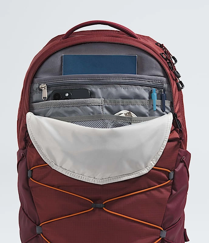 Men's Borealis Backpack