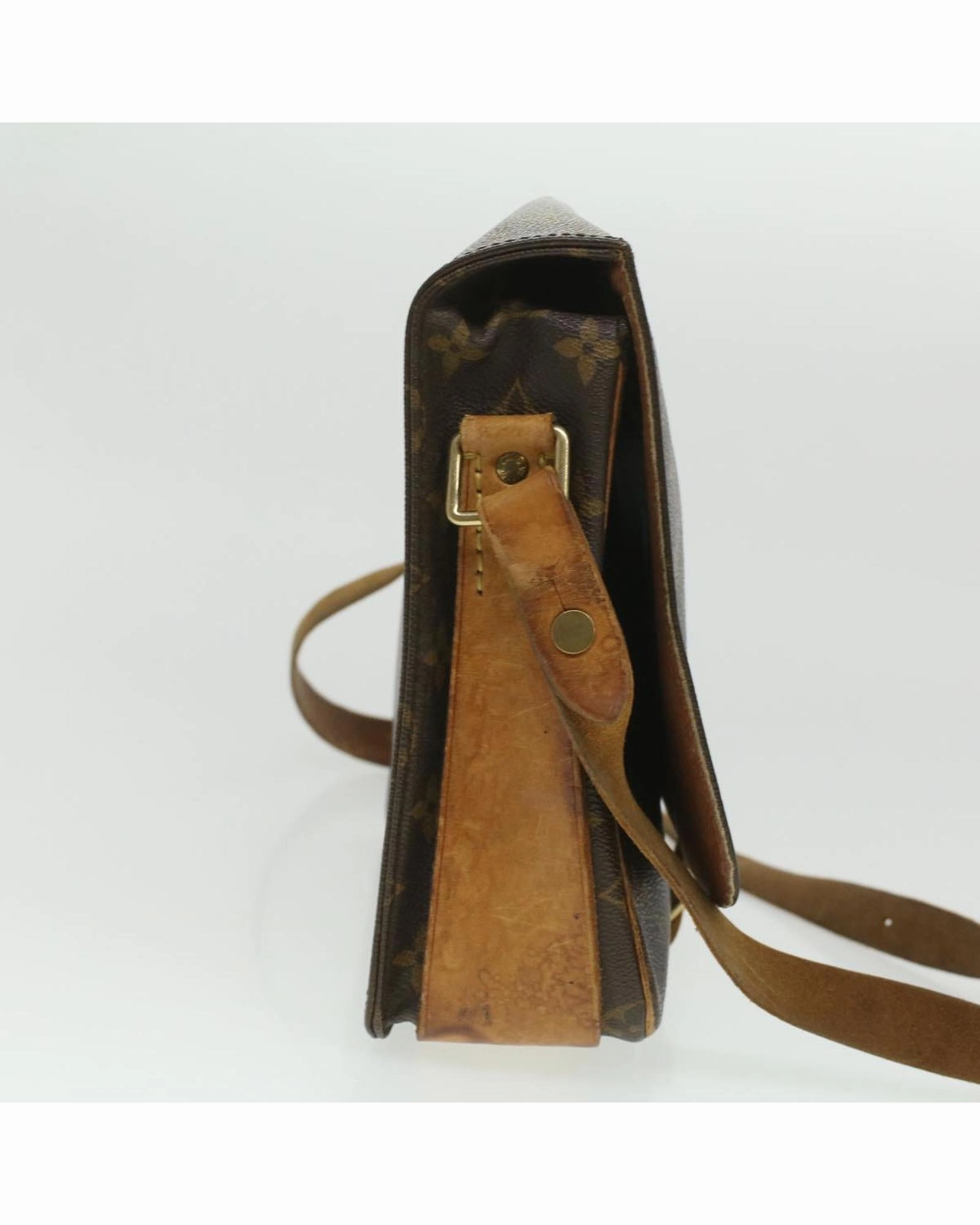 Monogram Canvas Pochette Sologne Shoulder Bag