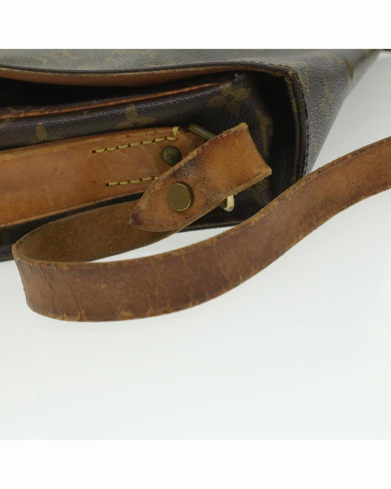 Monogram Canvas Pochette Sologne Shoulder Bag