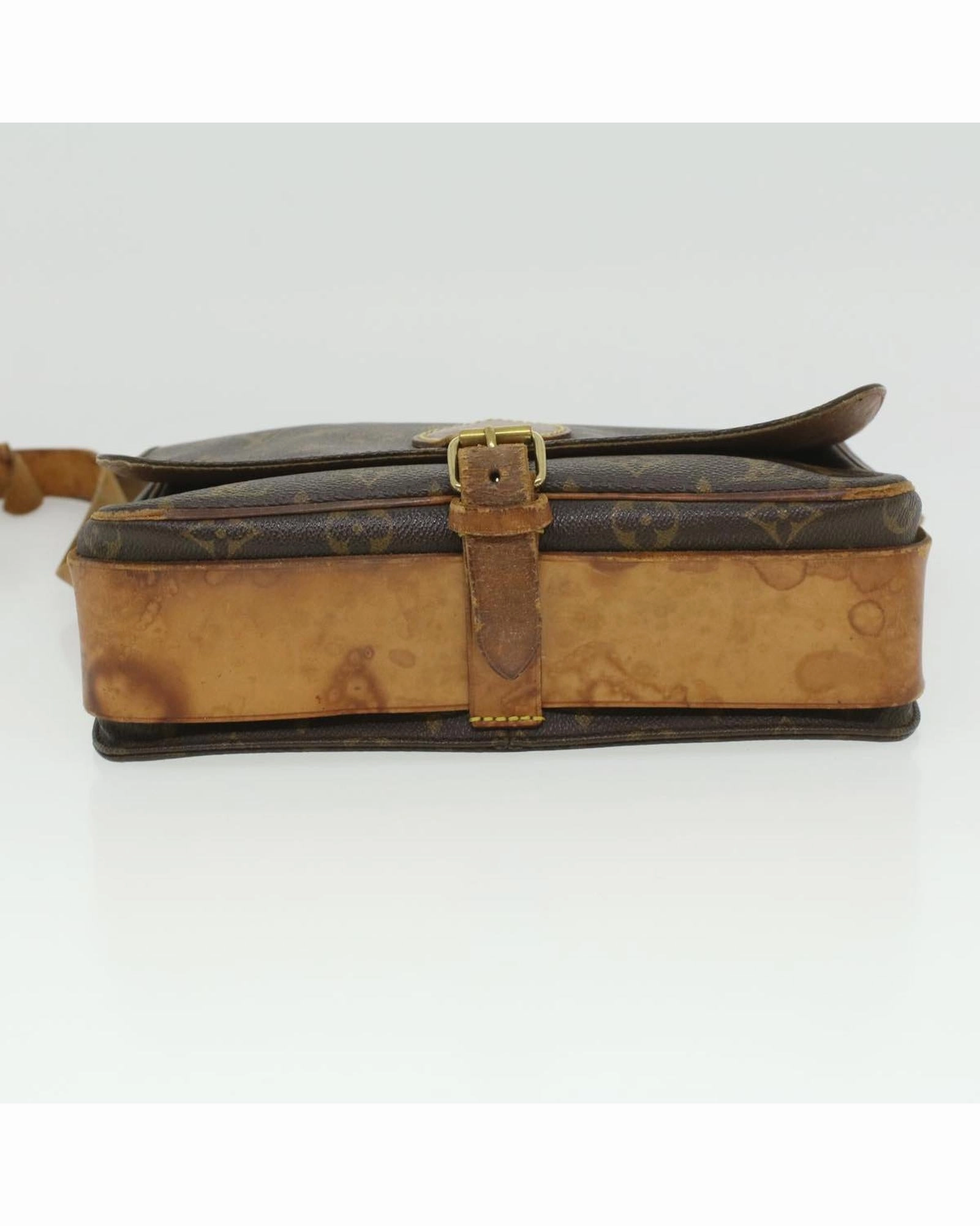 Monogram Canvas Pochette Sologne Shoulder Bag