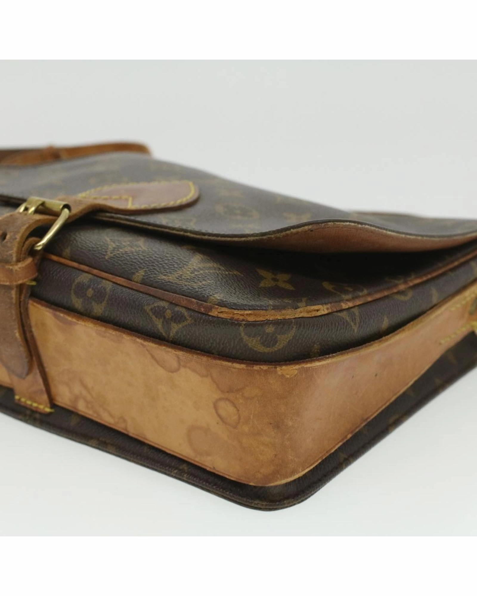 Monogram Canvas Pochette Sologne Shoulder Bag