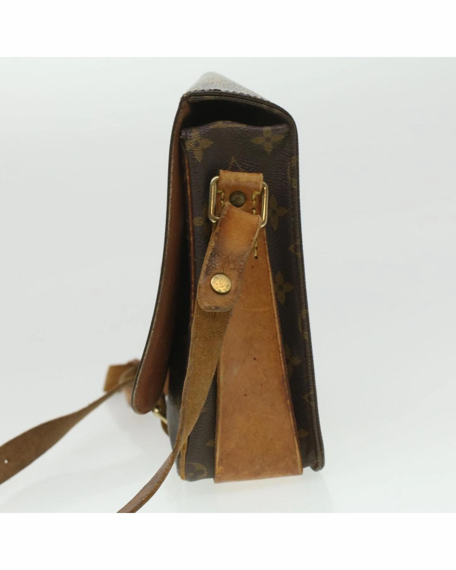 Monogram Canvas Pochette Sologne Shoulder Bag