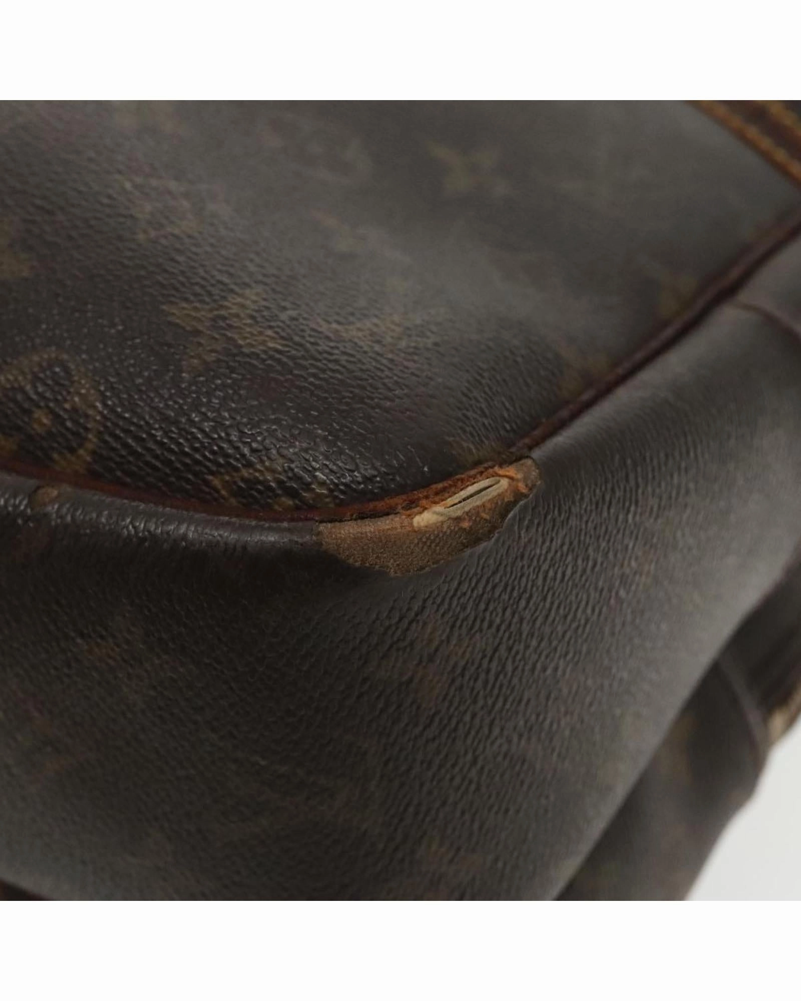Monogram Reporter GM Shoulder Bag