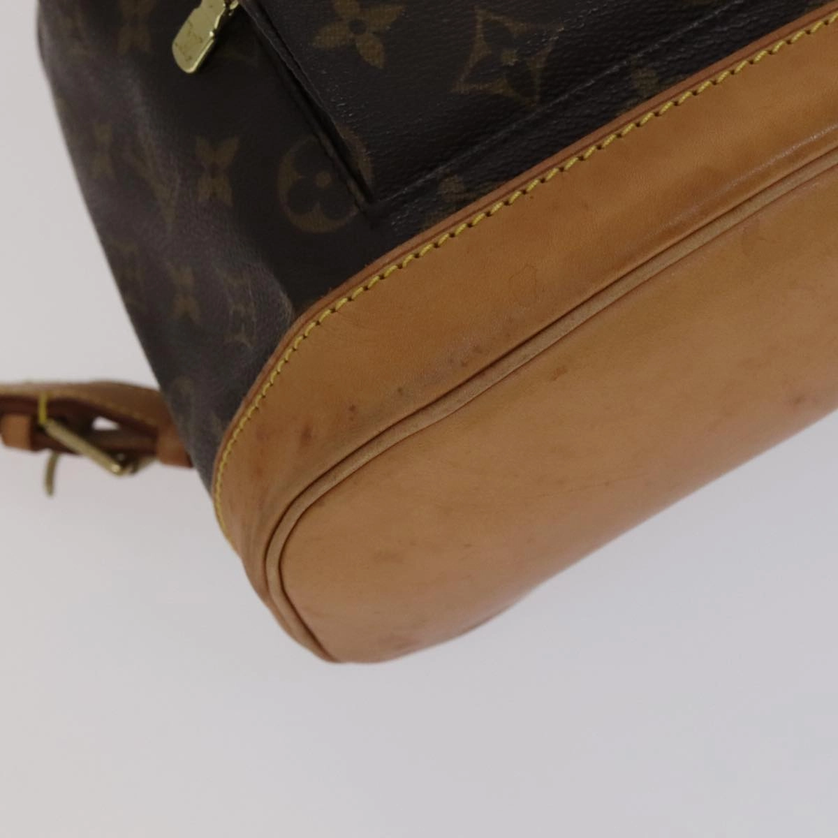 Montsouris MM Canvas Backpack with Dust Bag
