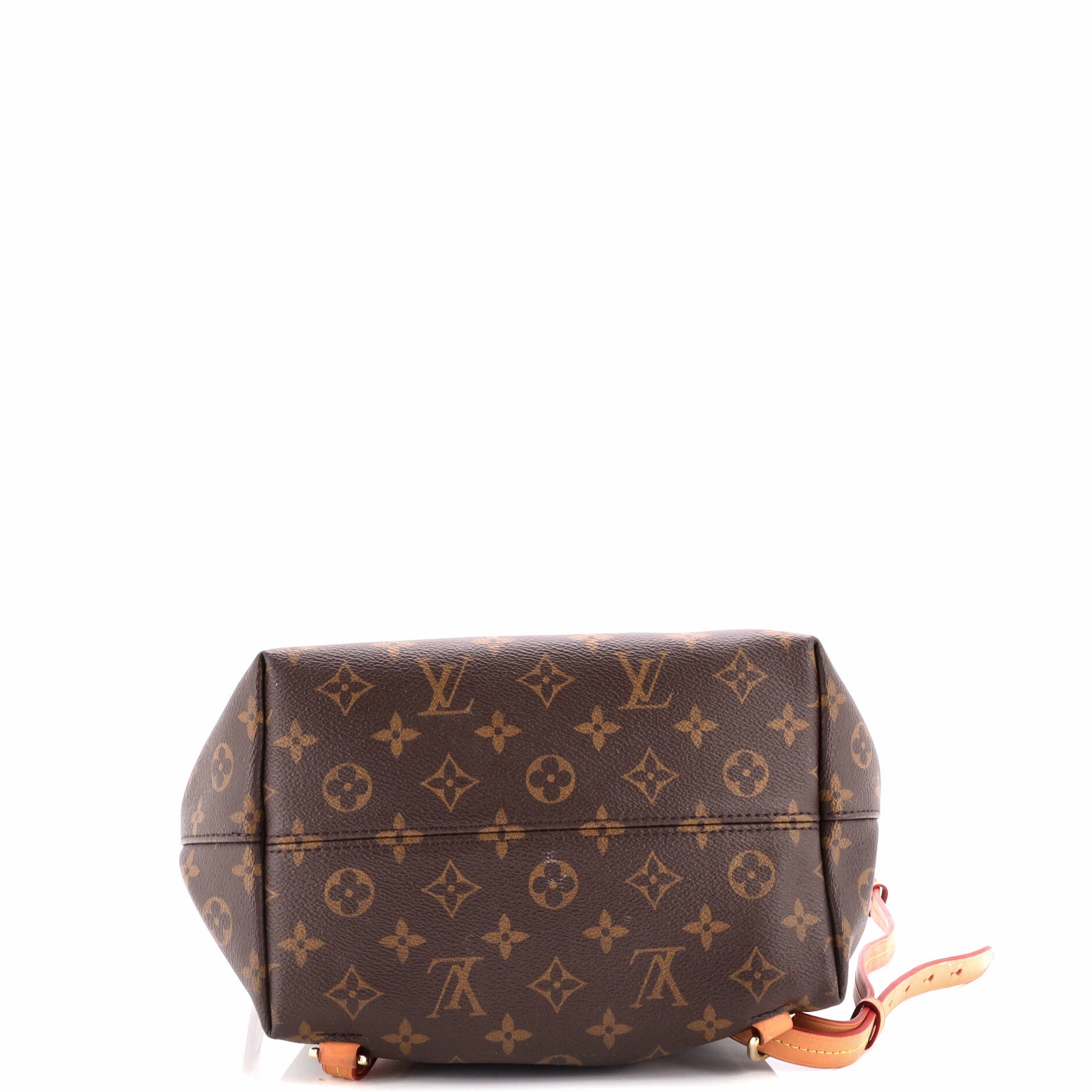 Montsouris NM Backpack Monogram Canvas PM