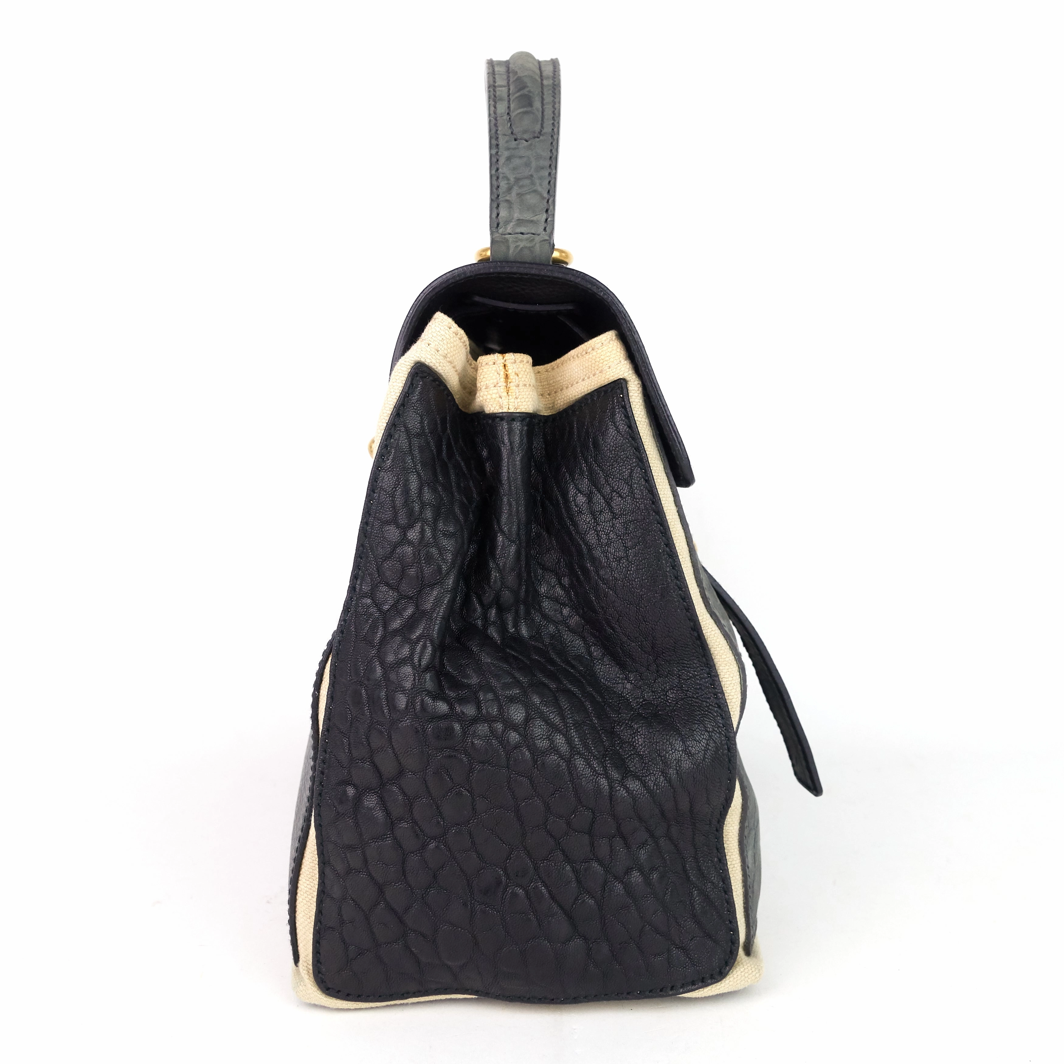 Muse Two-Tone Leather, Suede and Canvas Handbag