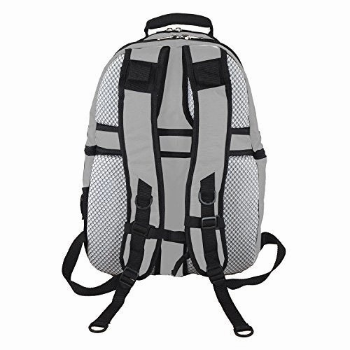NBA Golden State Warriors Voyager Laptop Backpack, 19-inches, Grey