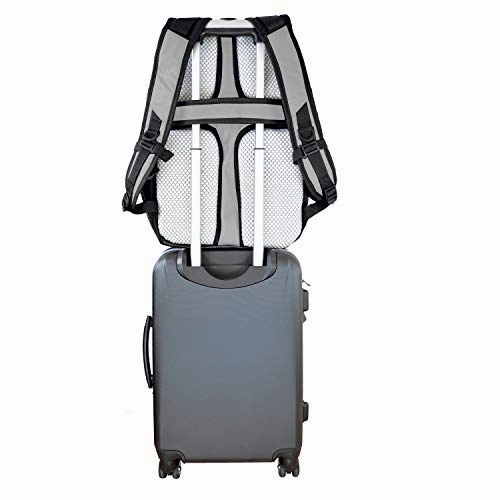 NBA Golden State Warriors Voyager Laptop Backpack, 19-inches, Grey