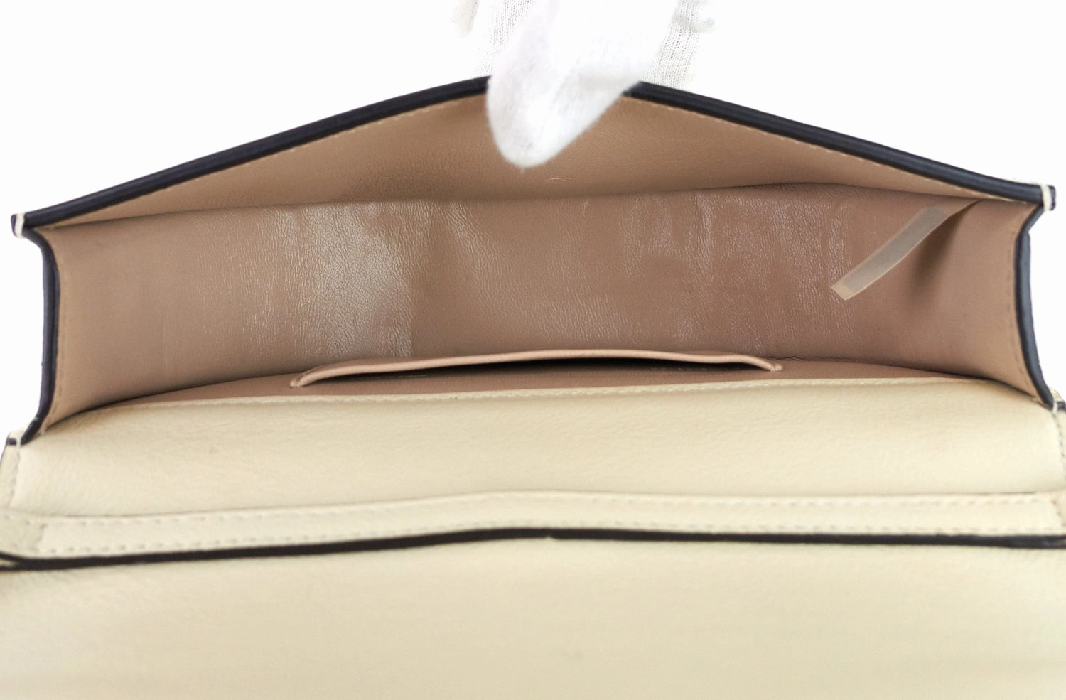 Nile Minaudiere Calf Leather Bag