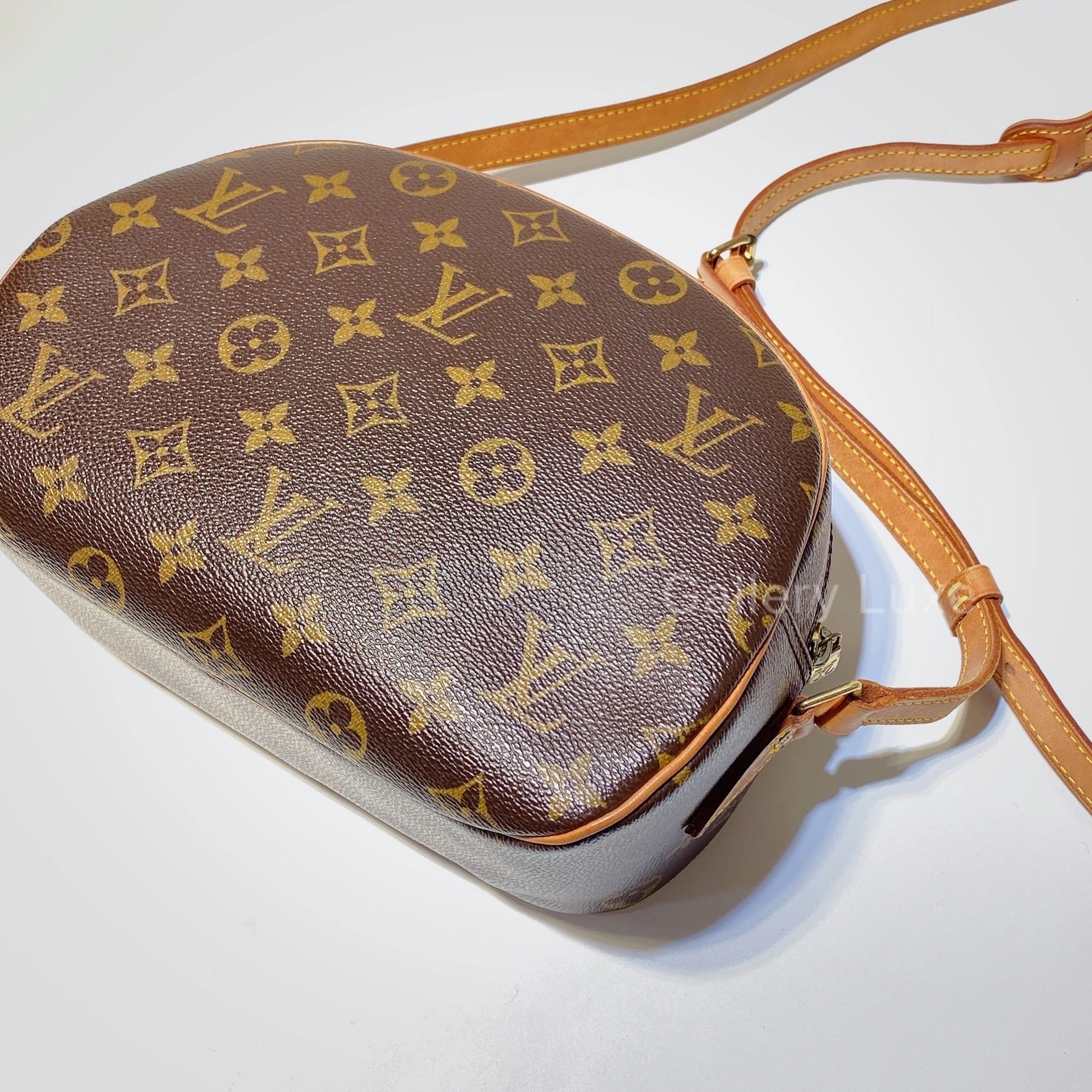 No.2734-Louis Vuitton Blois Crossbody Bag