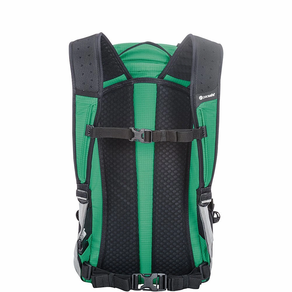Pacsafe Venturesafe X22