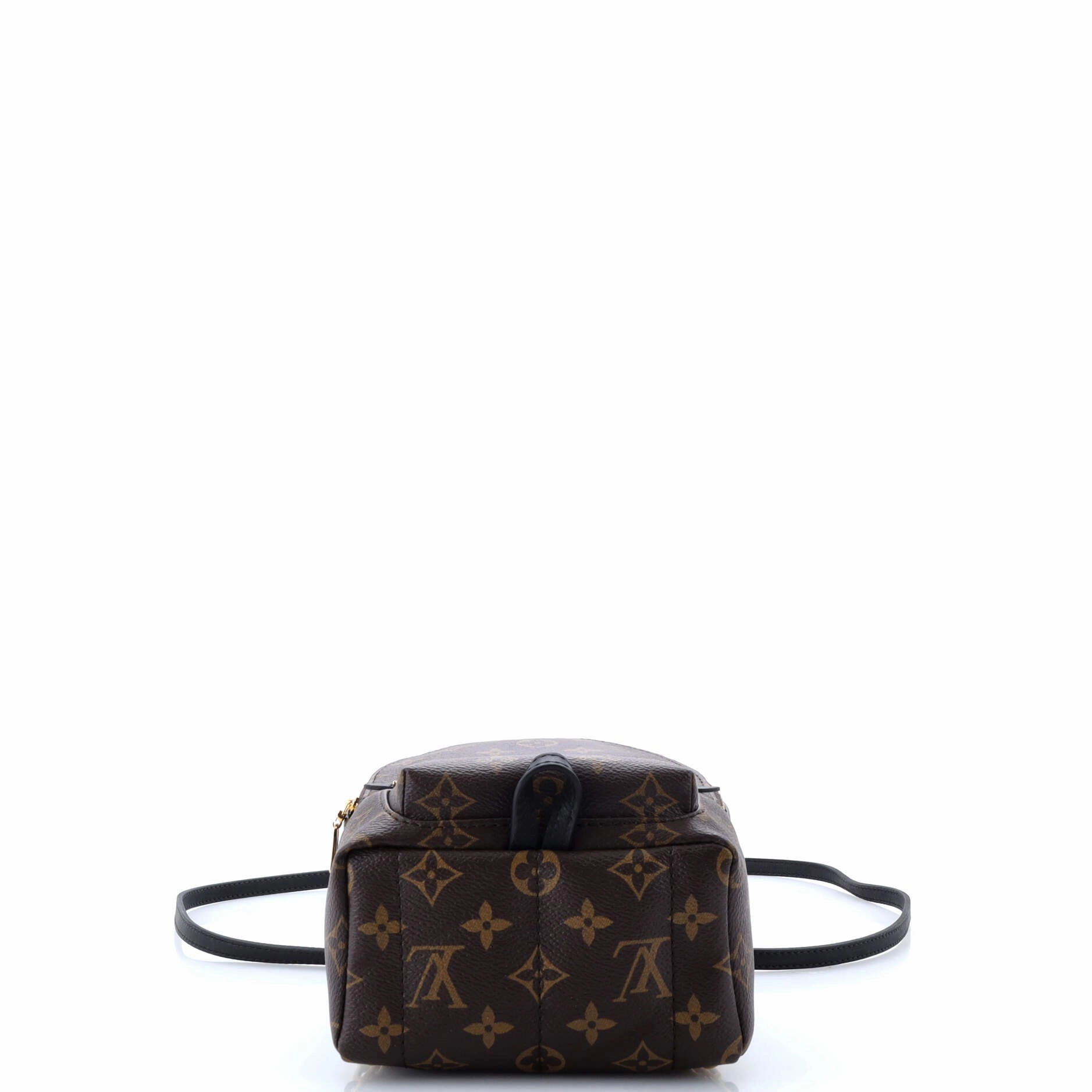Palm Springs Backpack Monogram Canvas Mini