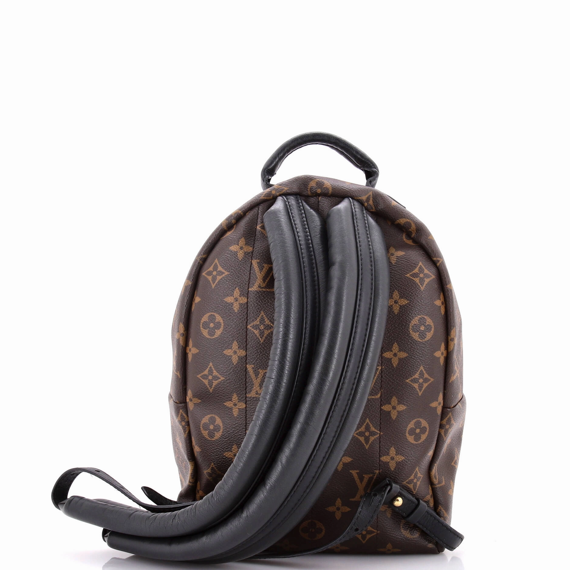 Palm Springs Backpack Monogram Canvas PM