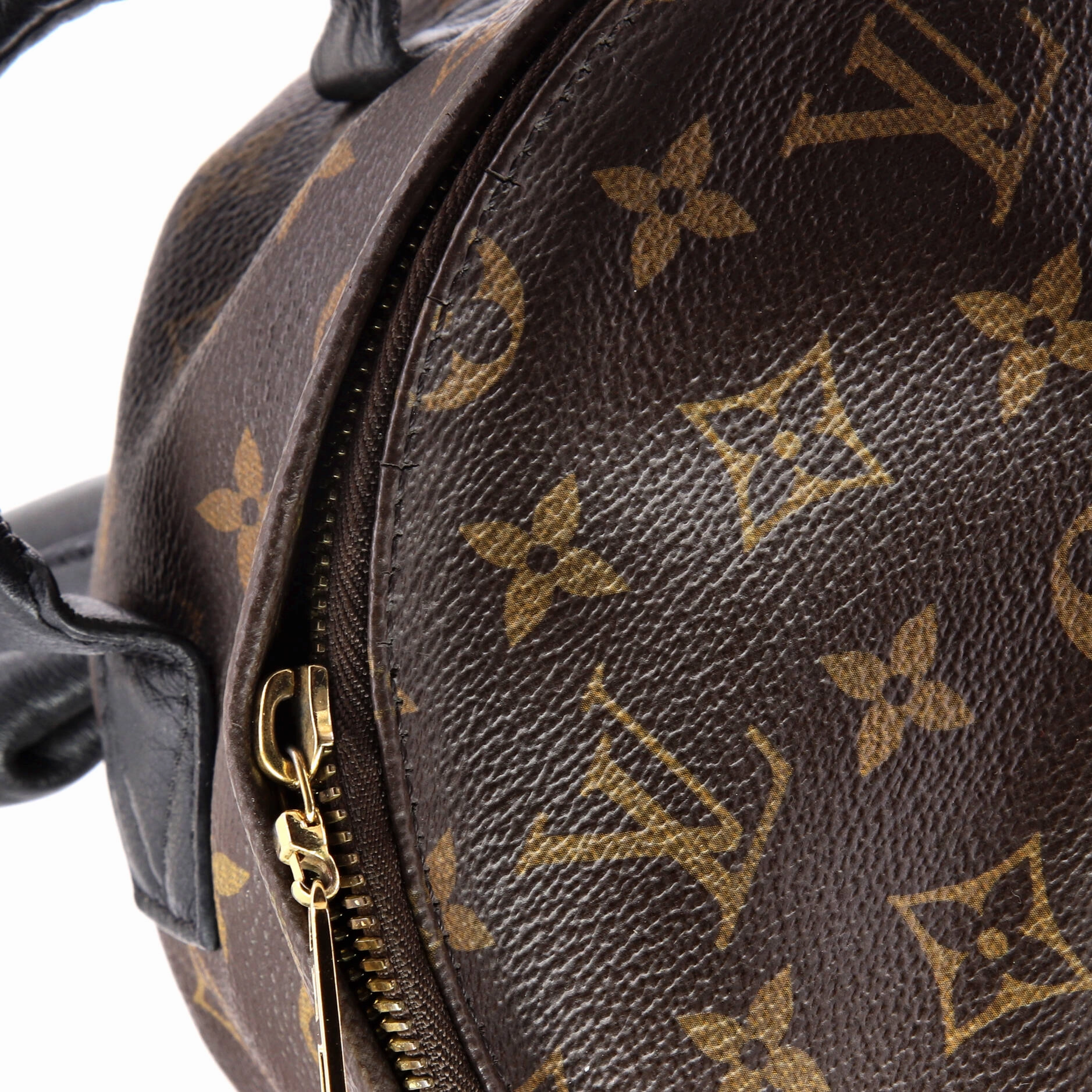 Palm Springs Backpack Monogram Canvas PM
