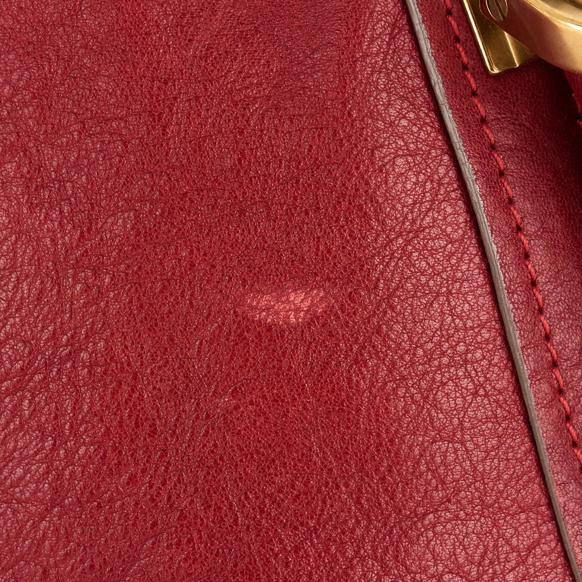 Paraty Medium Calfskin Bag