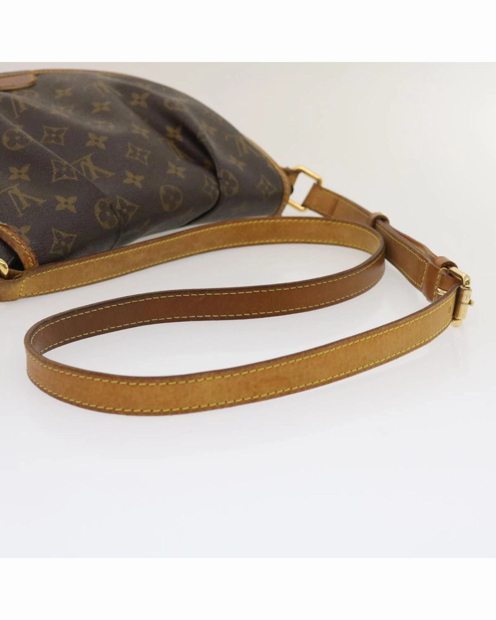 Pochette Clemence Shoulder Bag M60172