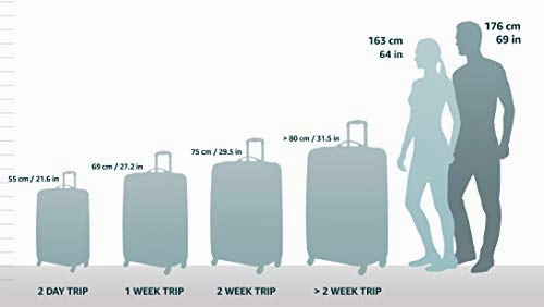 Samsonite Pro 4 DLX Upright Mobile Office PFT, Black, One Size