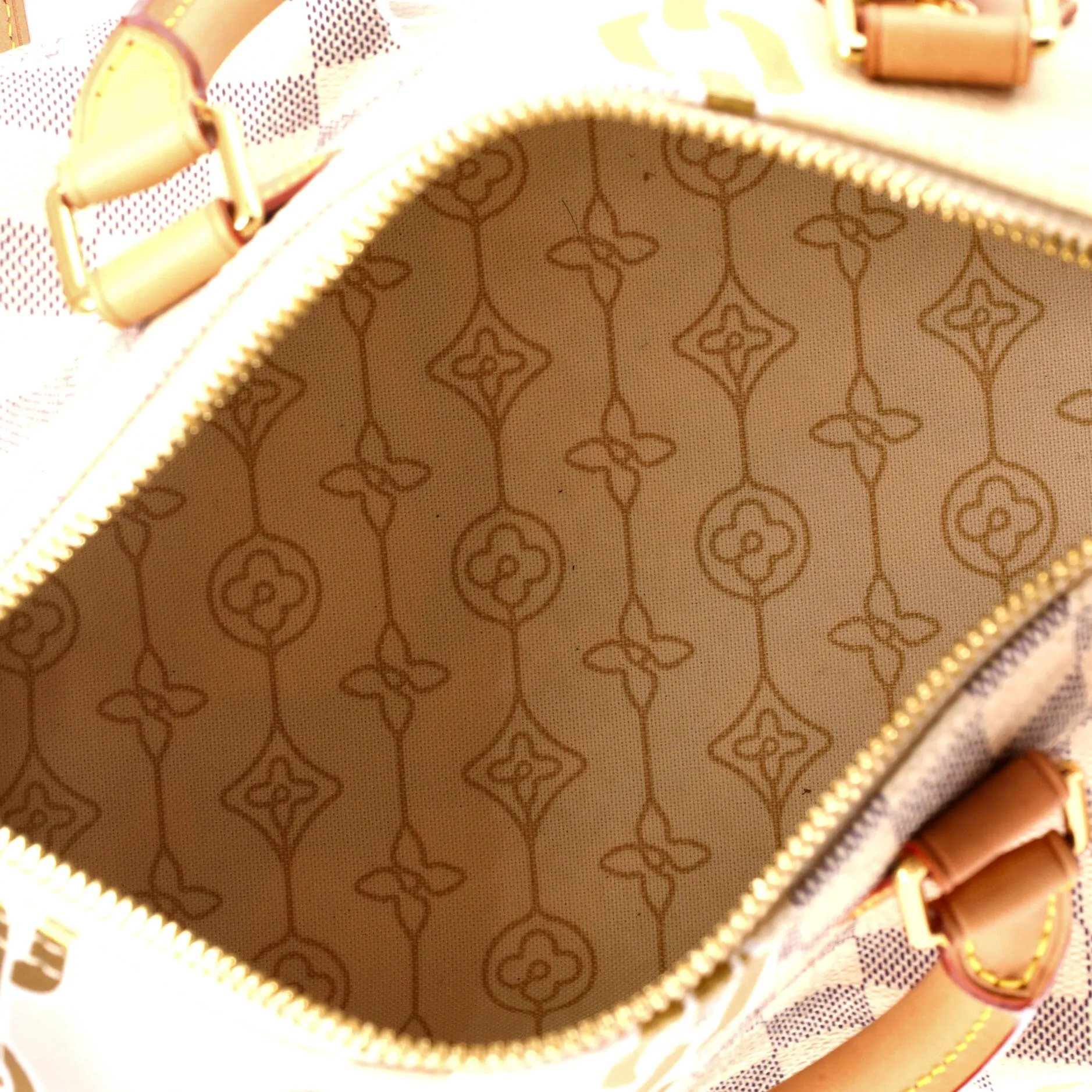 Speedy Bandouliere Bag Limited Edition Nautical Damier 25