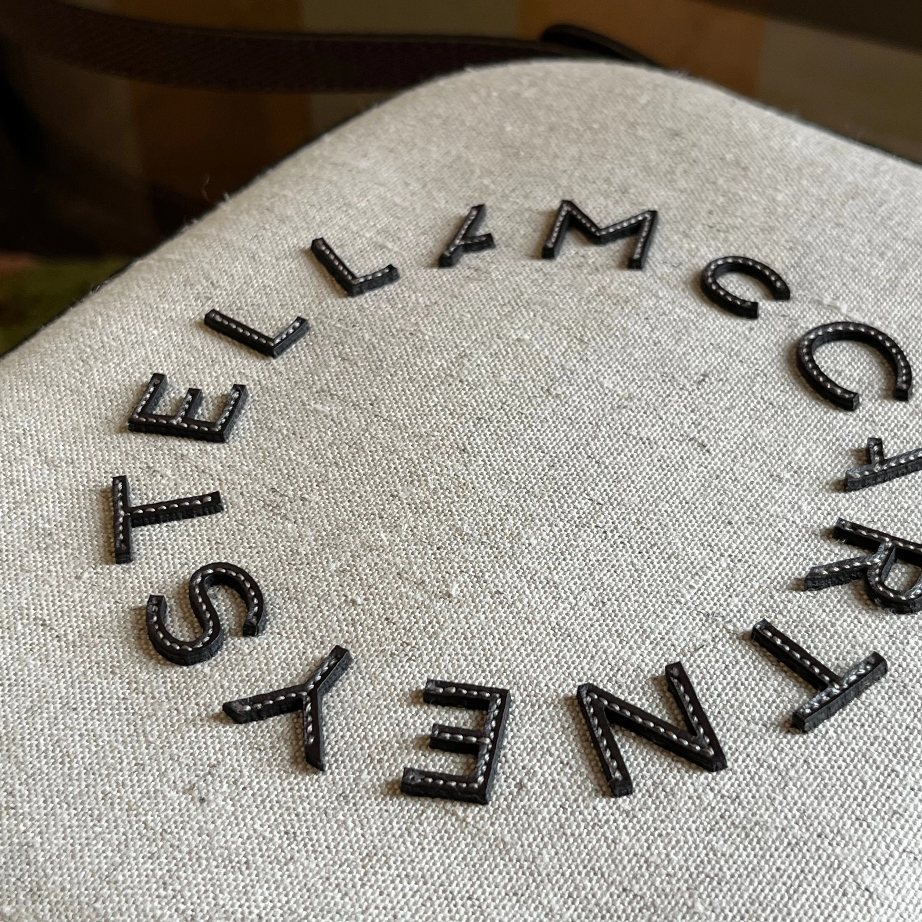 STELLA MCCARTNEY Canvas Logo Camera Crossbody TS4028