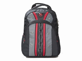 Swissgear Gray NWT Valve Backpack