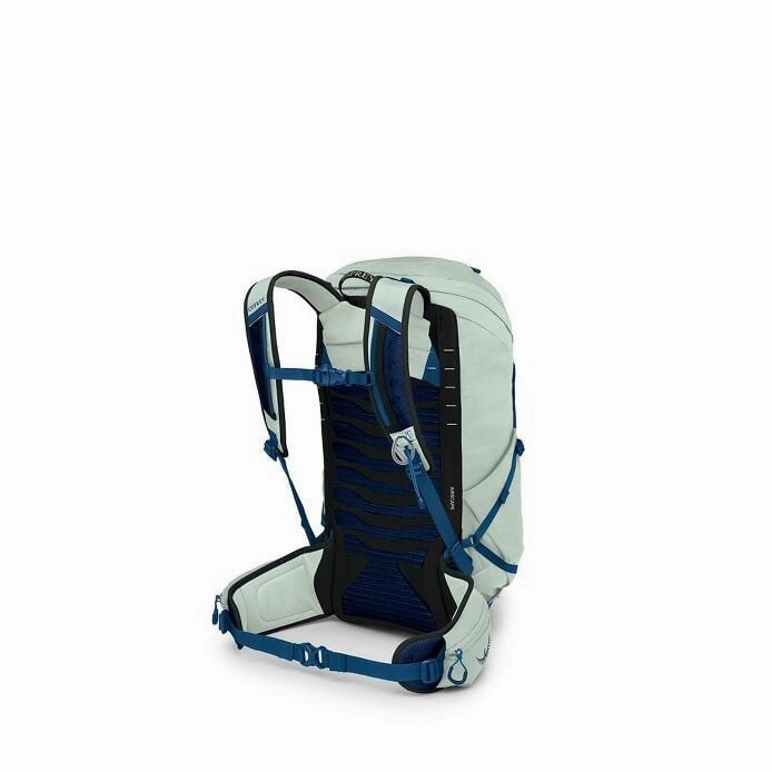 Talon 26