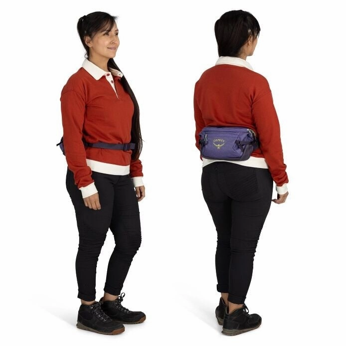 Transporter Waist Pack