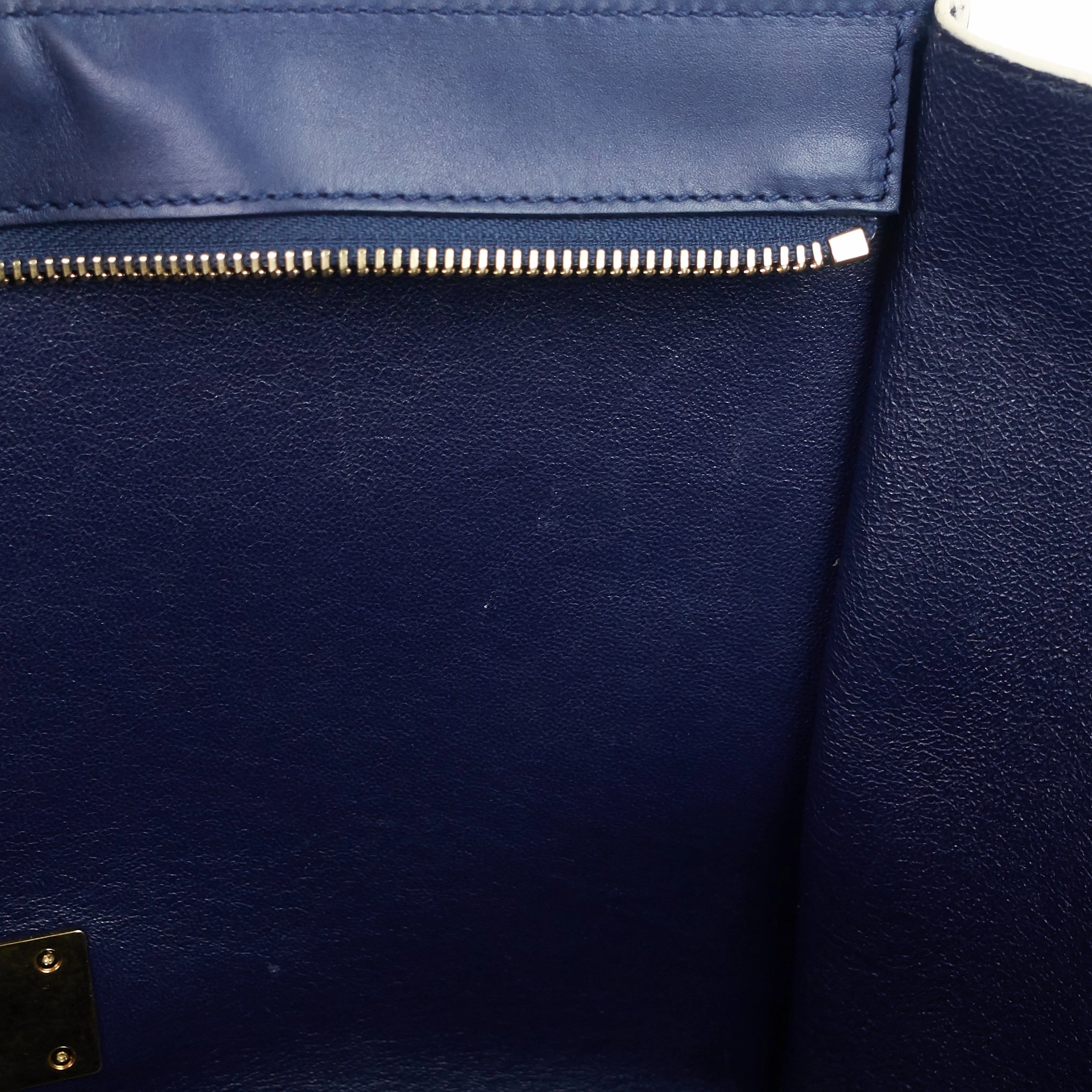 Trapeze Medium Python and Leather Bag