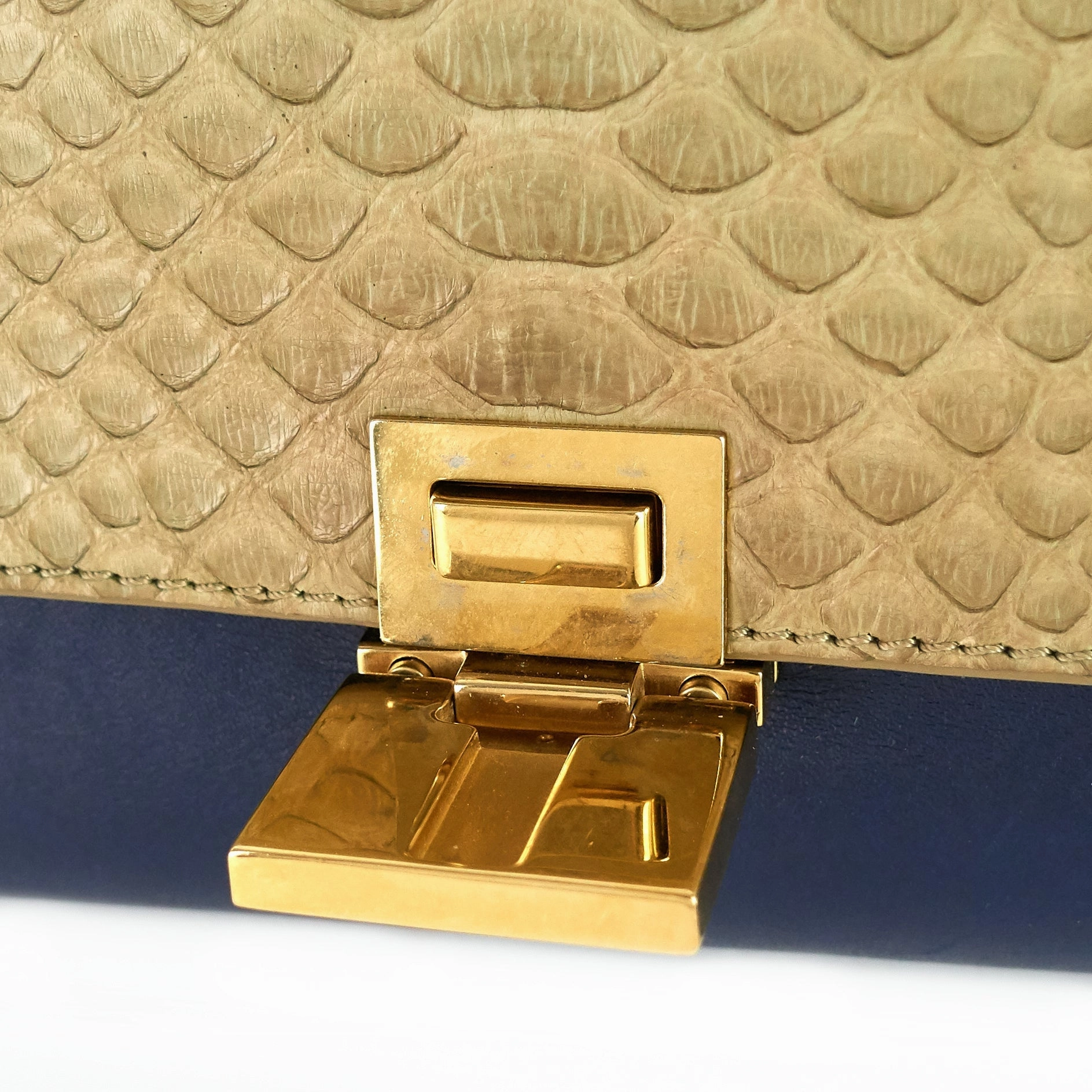 Trapeze Medium Python and Leather Bag