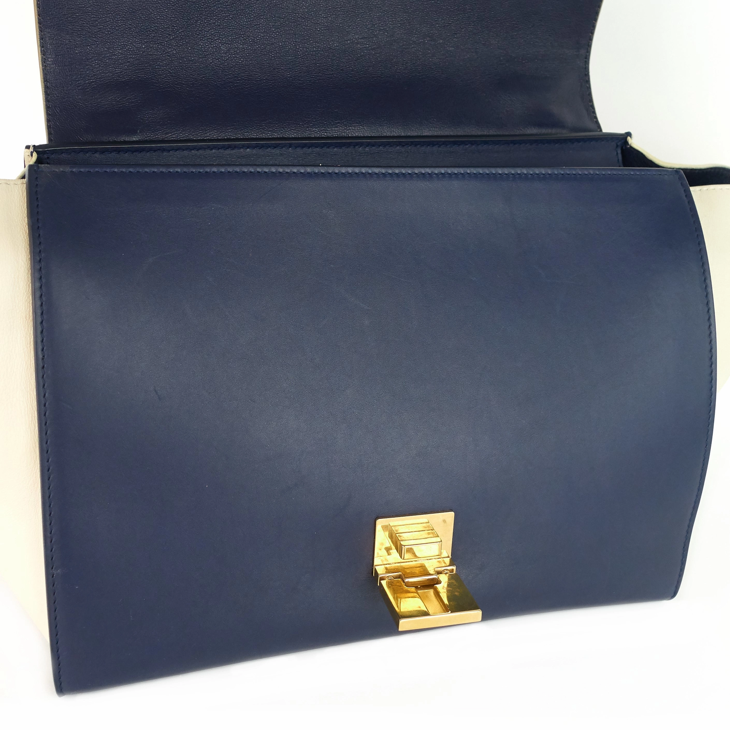 Trapeze Medium Python and Leather Bag