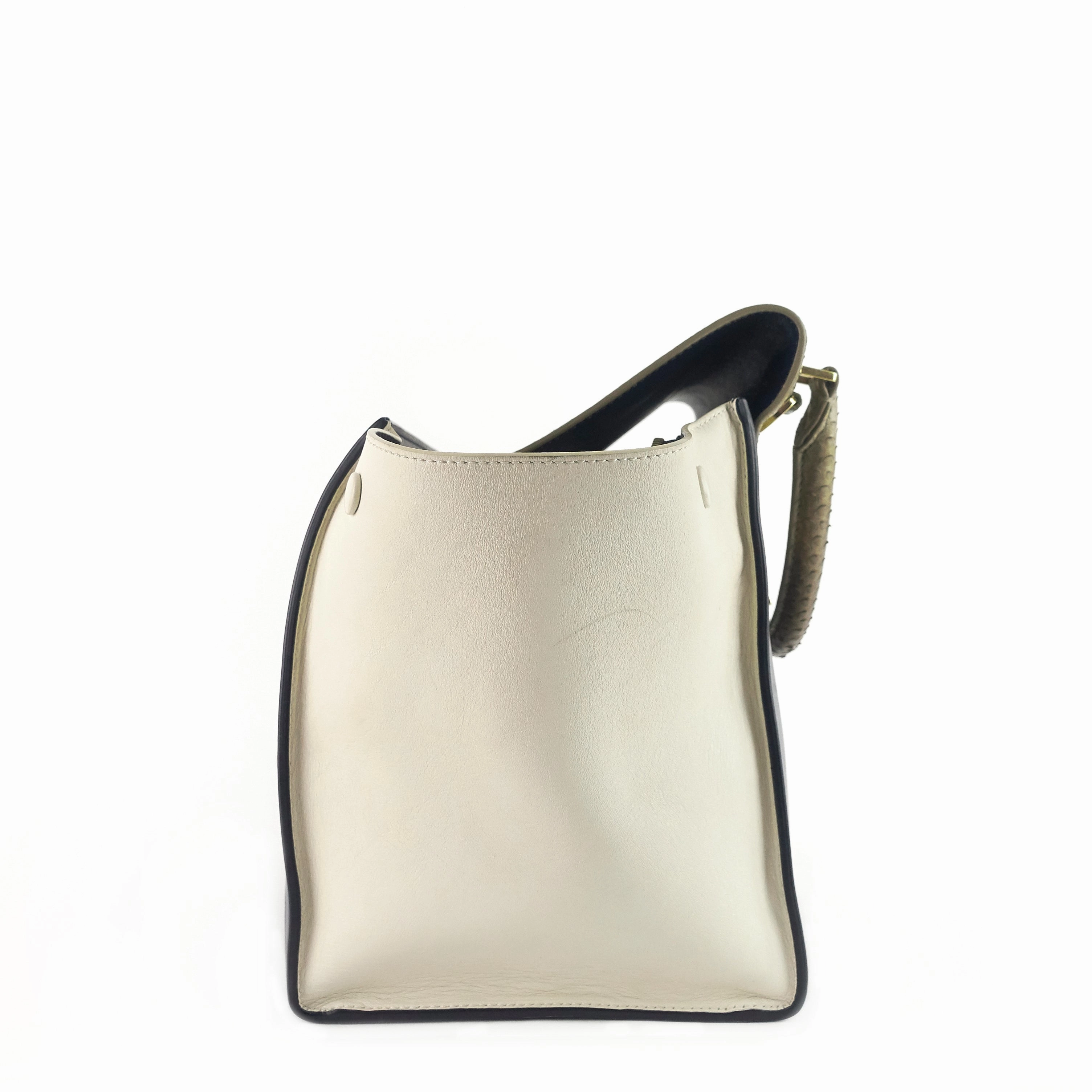Trapeze Medium Python and Leather Bag