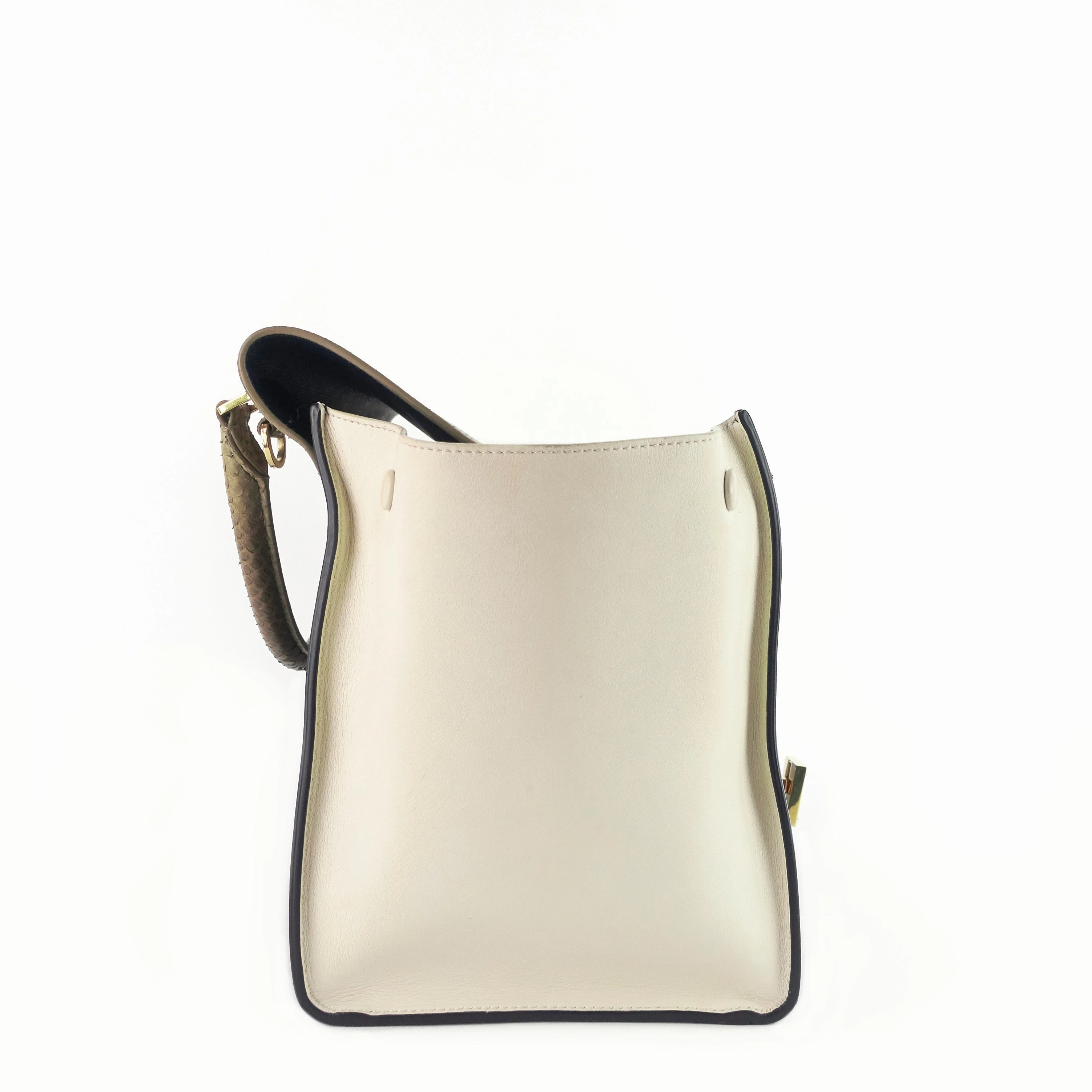 Trapeze Medium Python and Leather Bag