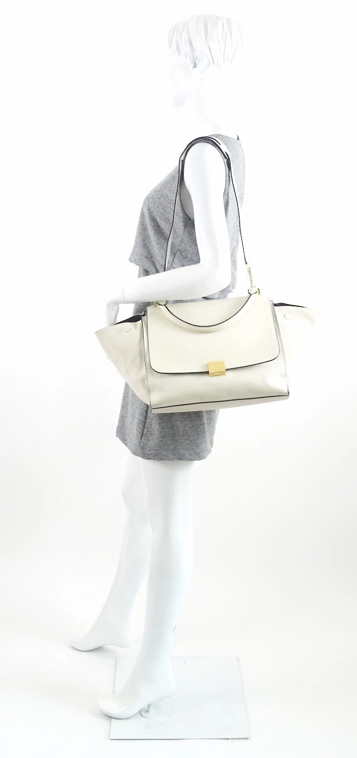 Trapeze Suede and Calf Leather Bag