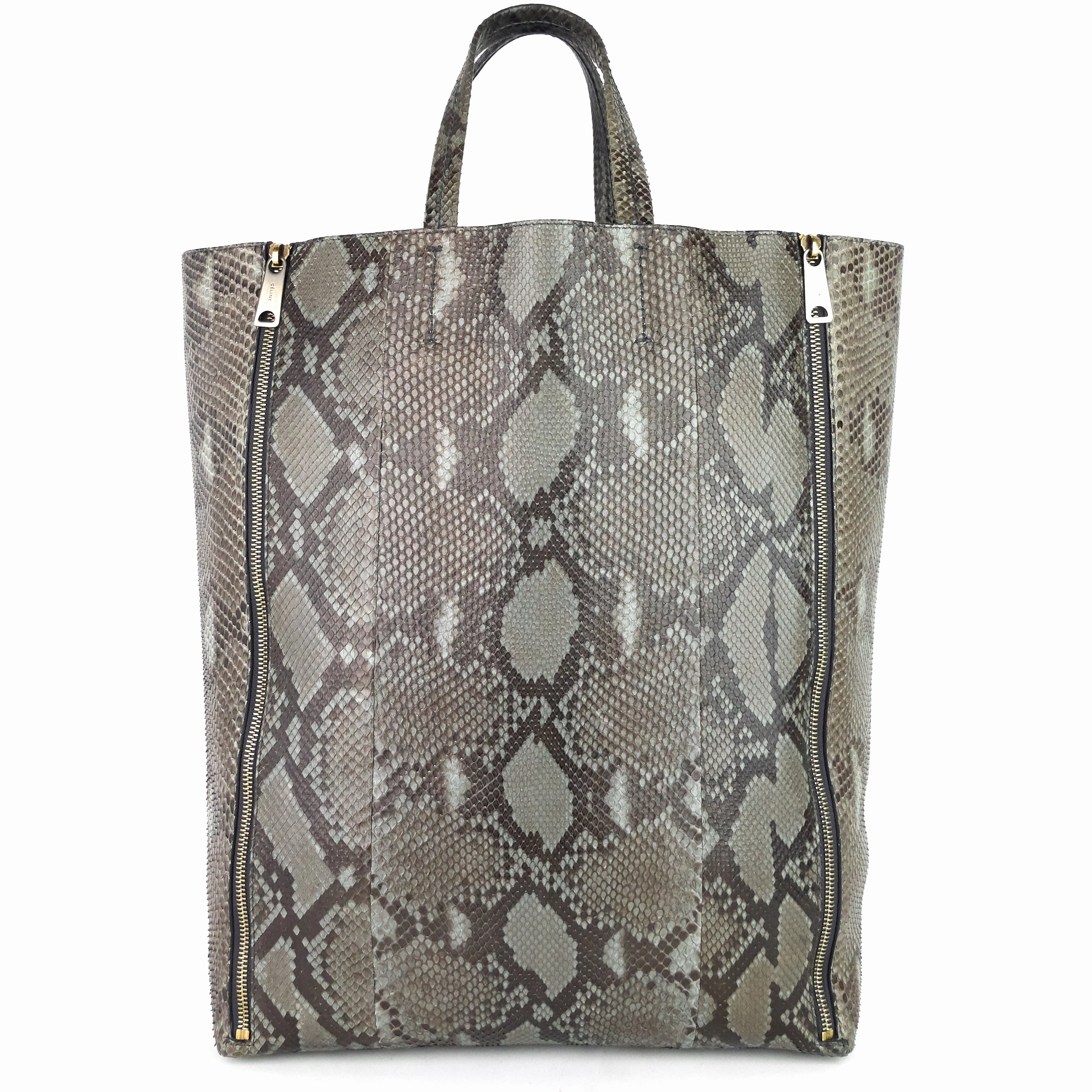 Vertical Gusset Cabas Python Leather Bag