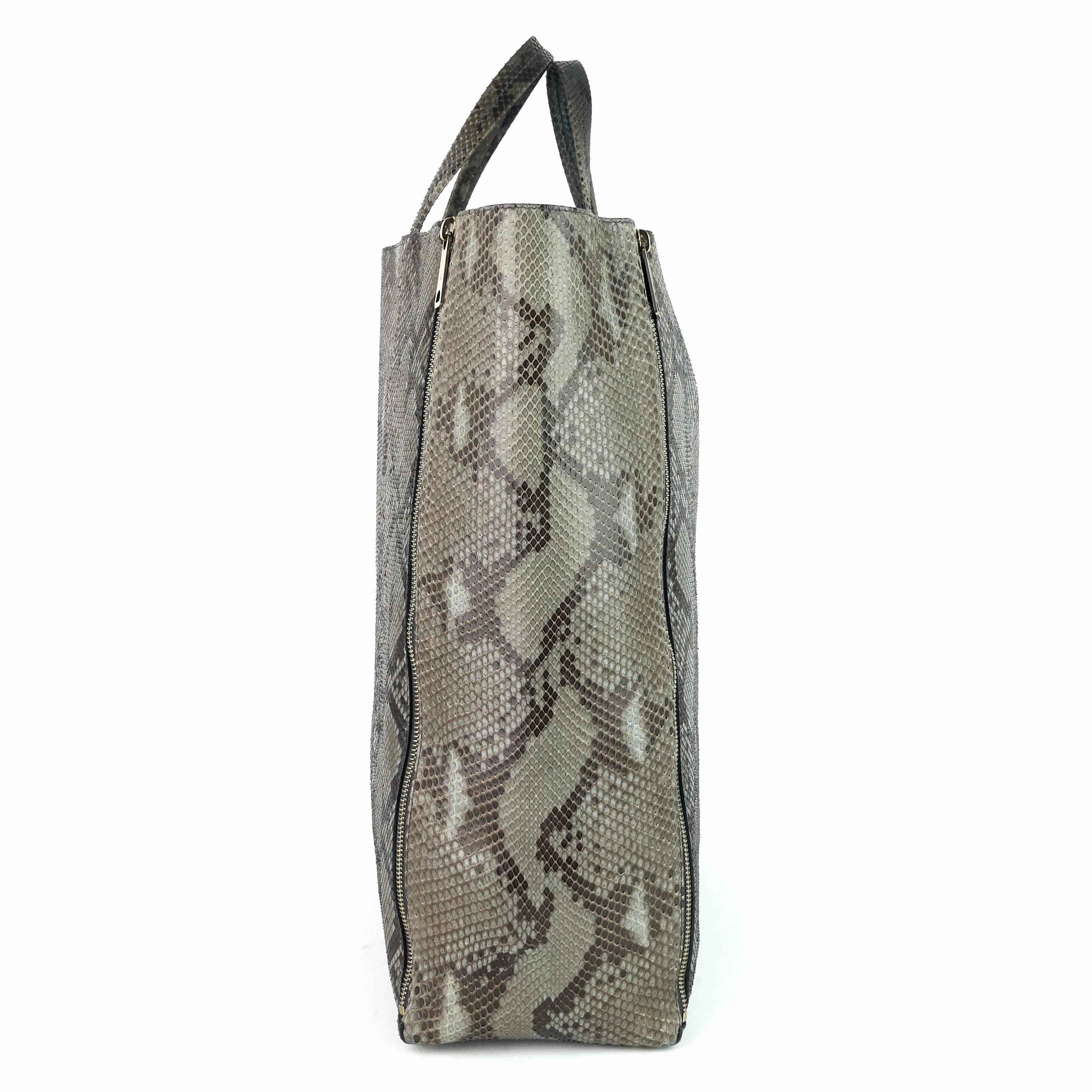 Vertical Gusset Cabas Python Leather Bag