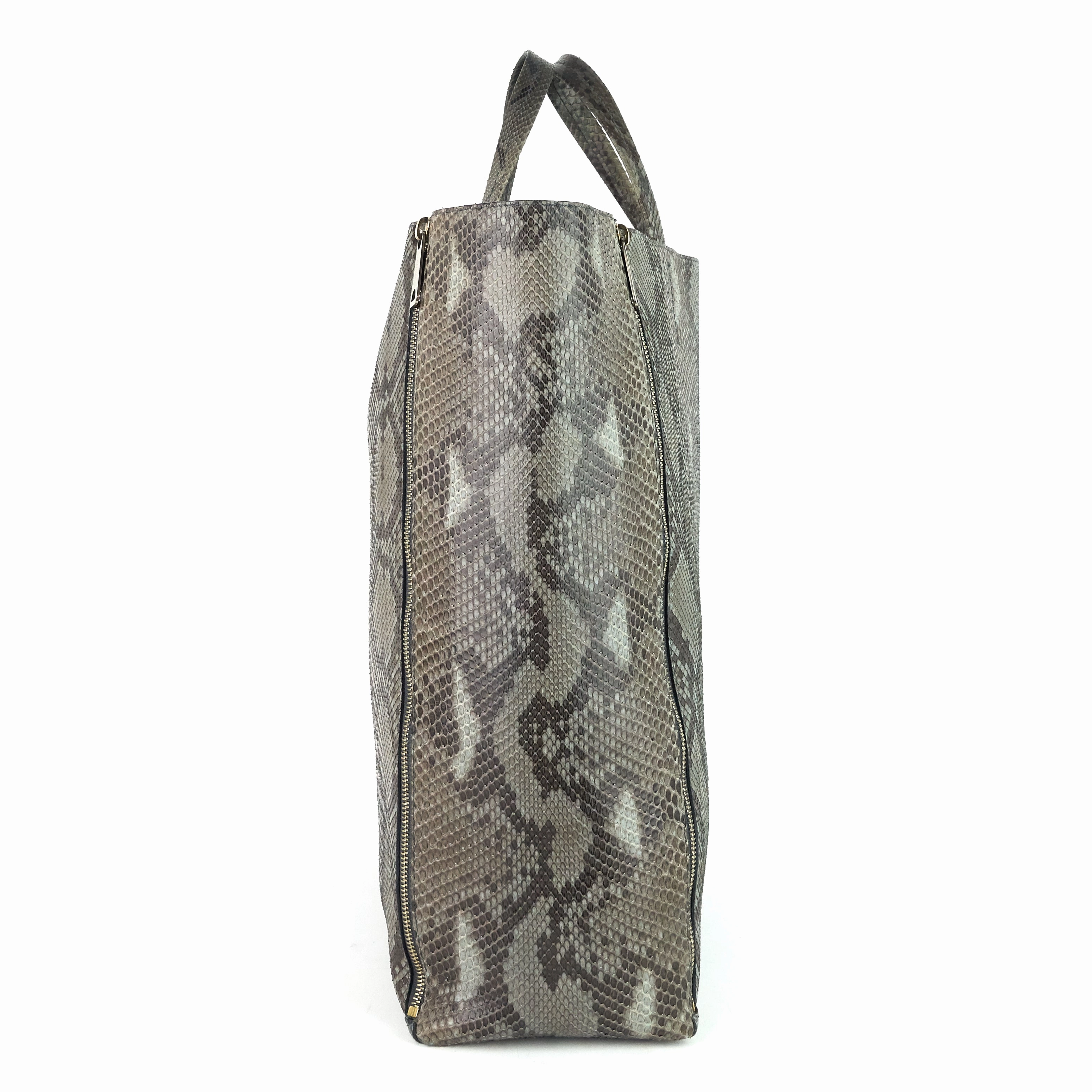 Vertical Gusset Cabas Python Leather Bag