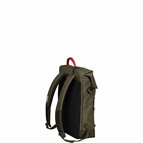 Victorinox Altmont Classic Deluxe Flapover Laptop Backpack (40 (US Women's