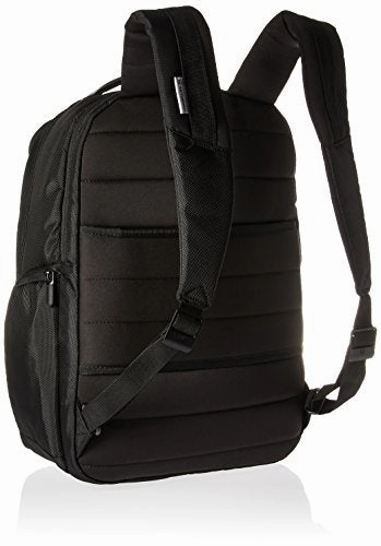 Victorinox Altmont Professional Essential Laptop Backpack, Black, One Size