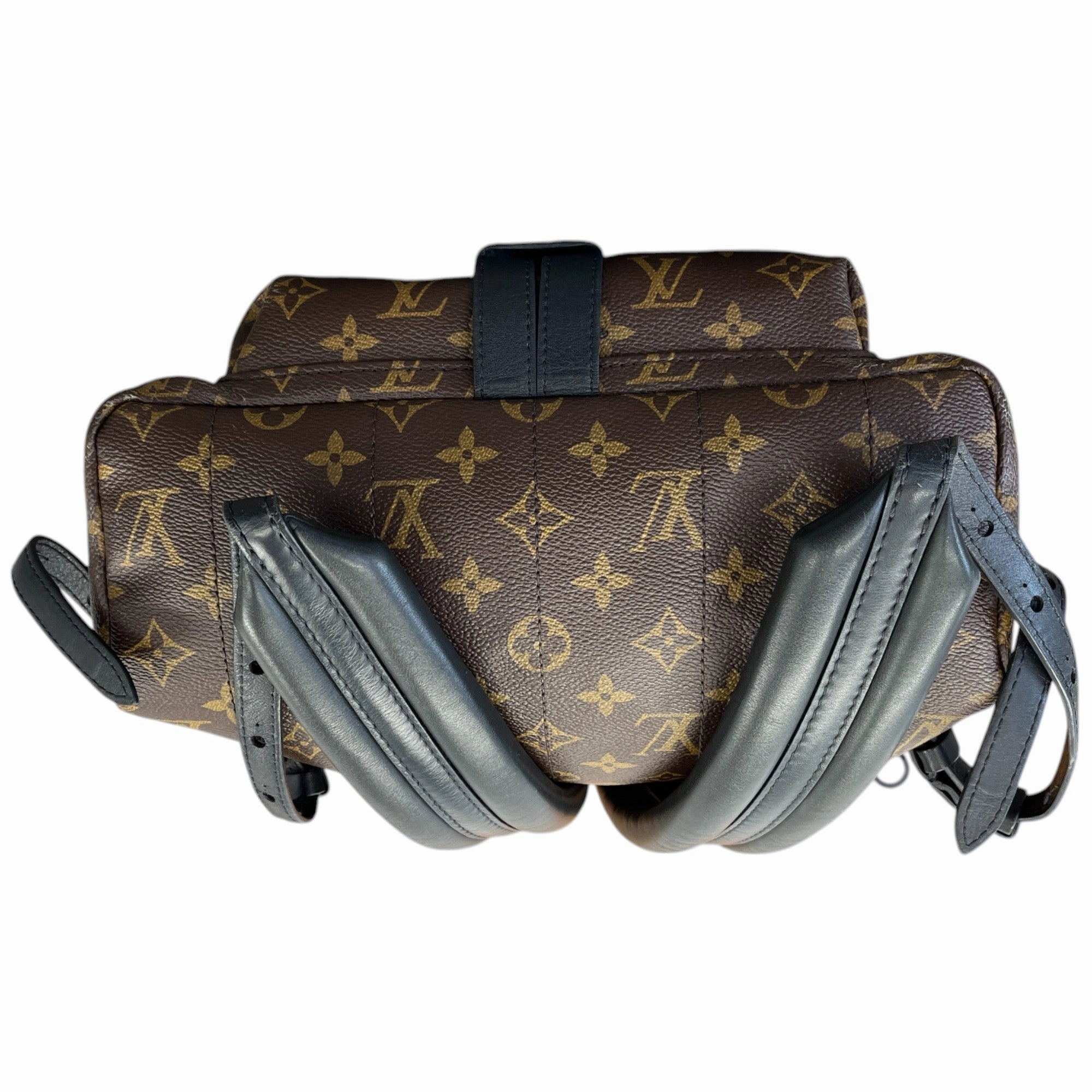 Women's Monogram Palm Springs Mm Backpack Brown