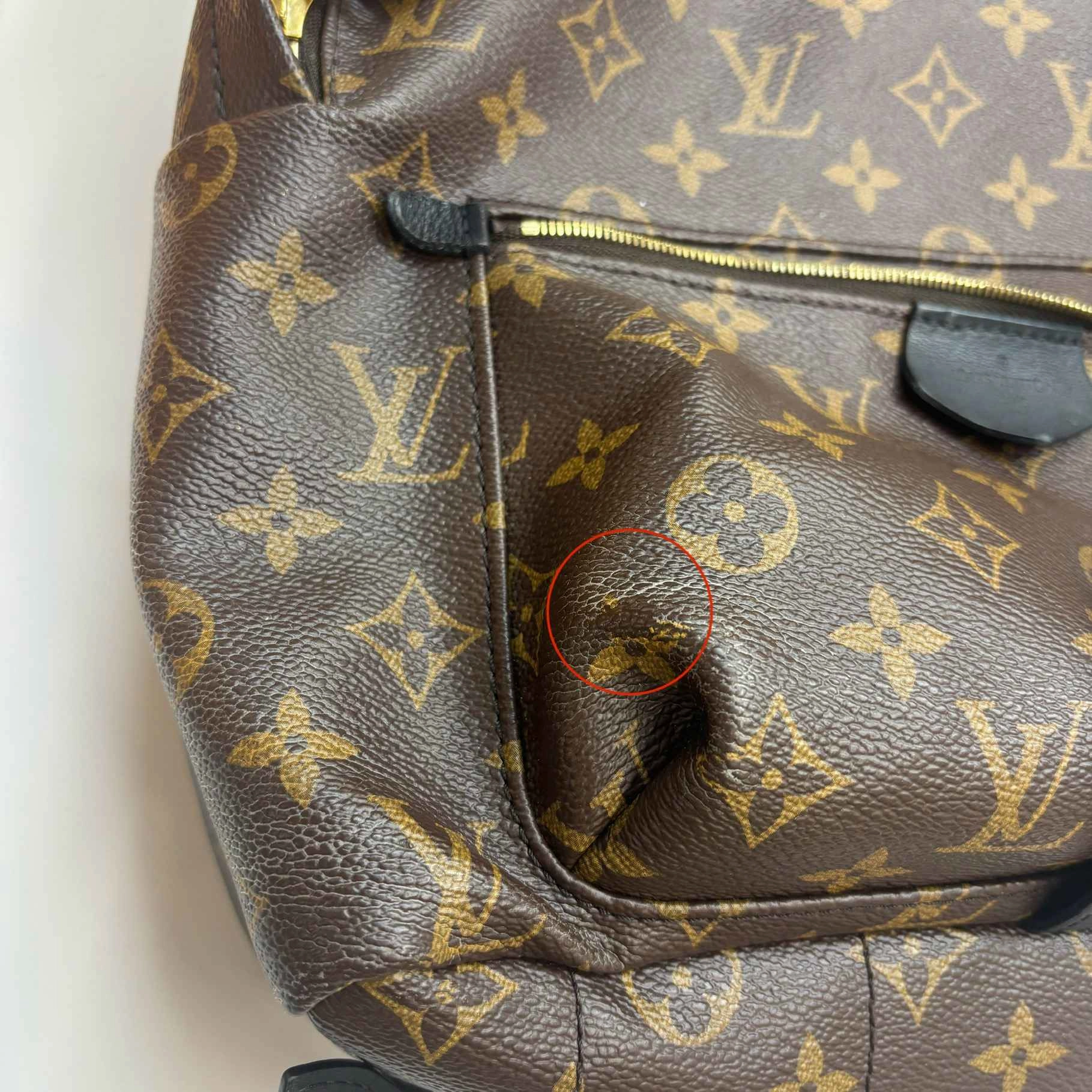 Women's Monogram Palm Springs Mm Backpack Brown