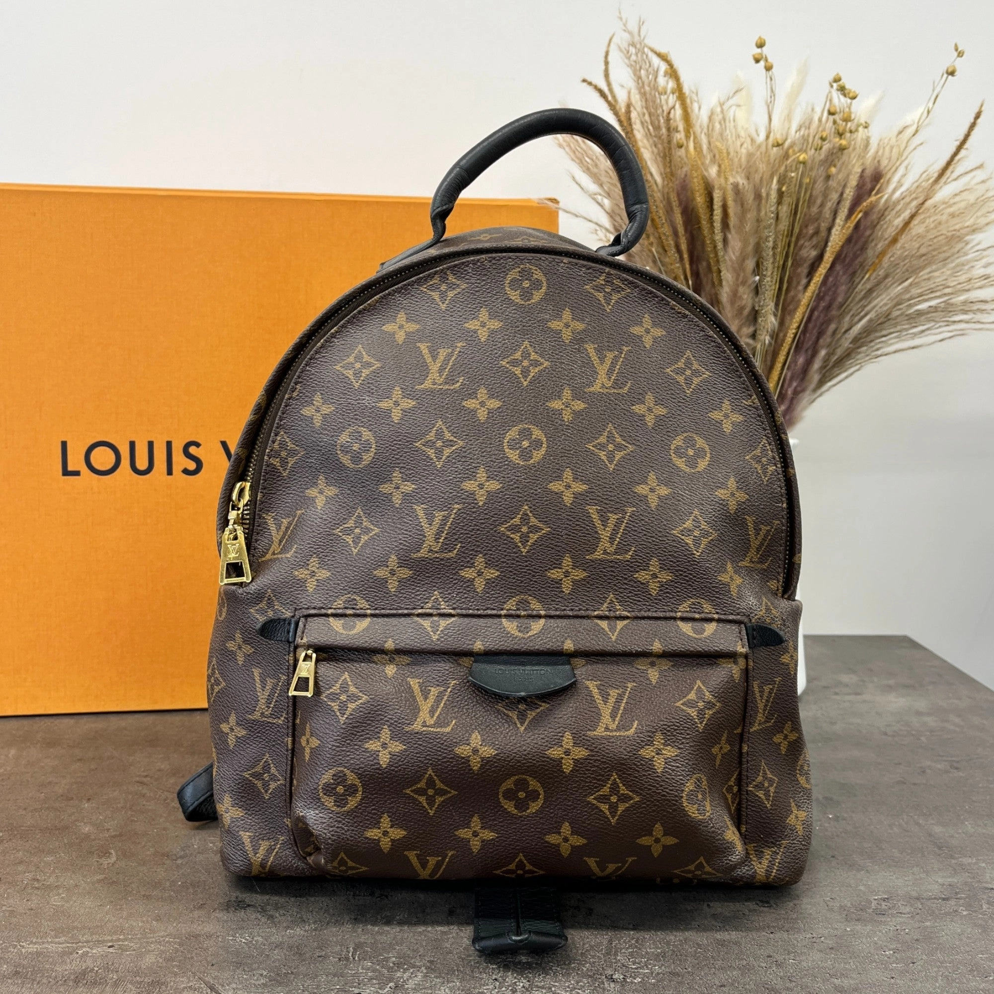 Women's Monogram Palm Springs Mm Backpack Brown