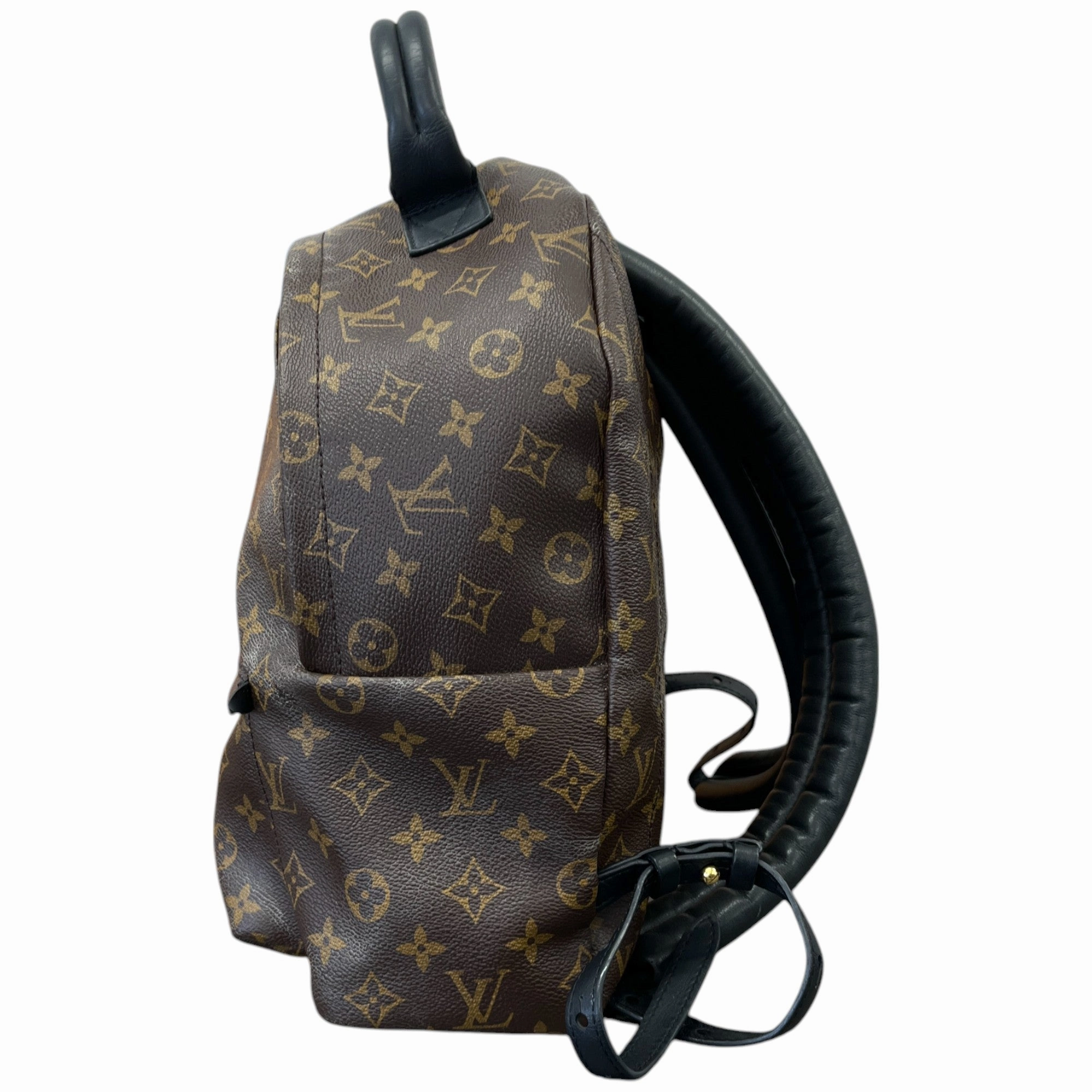 Women's Monogram Palm Springs Mm Backpack Brown