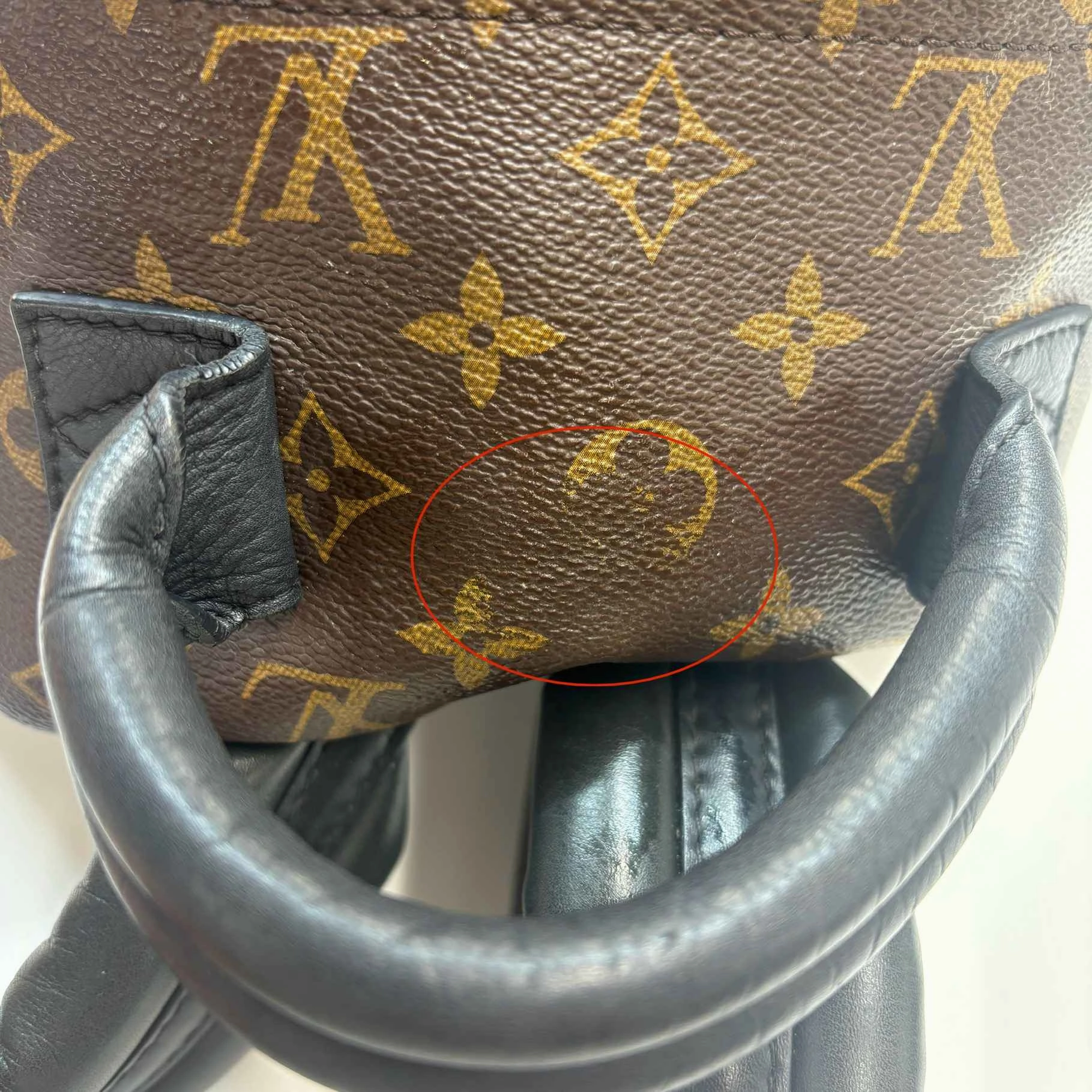 Women's Monogram Palm Springs Mm Backpack Brown