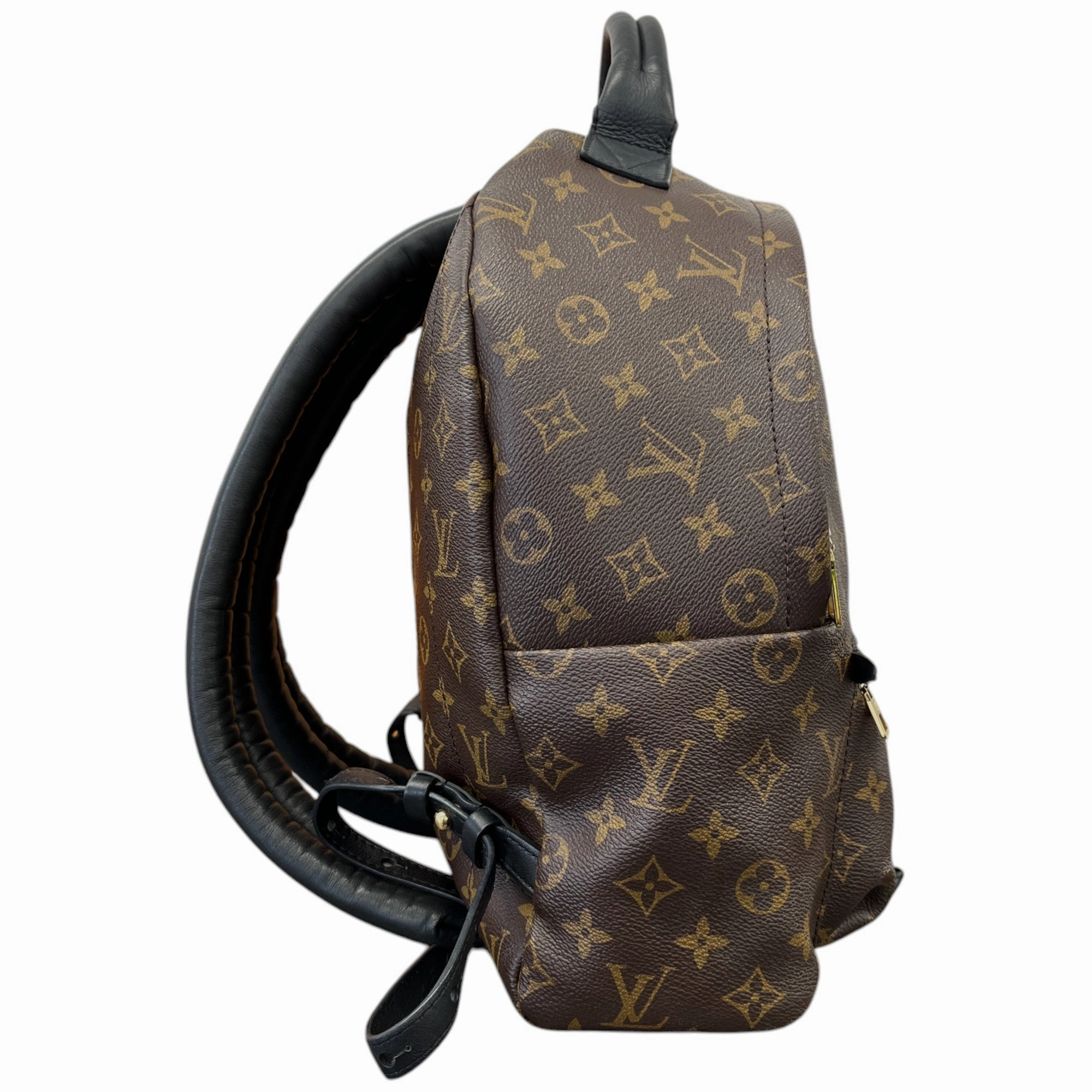 Women's Monogram Palm Springs Mm Backpack Brown
